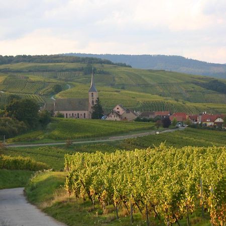 Hotel Winzenberg Blienschwiller Екстер'єр фото