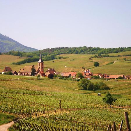 Hotel Winzenberg Blienschwiller Екстер'єр фото