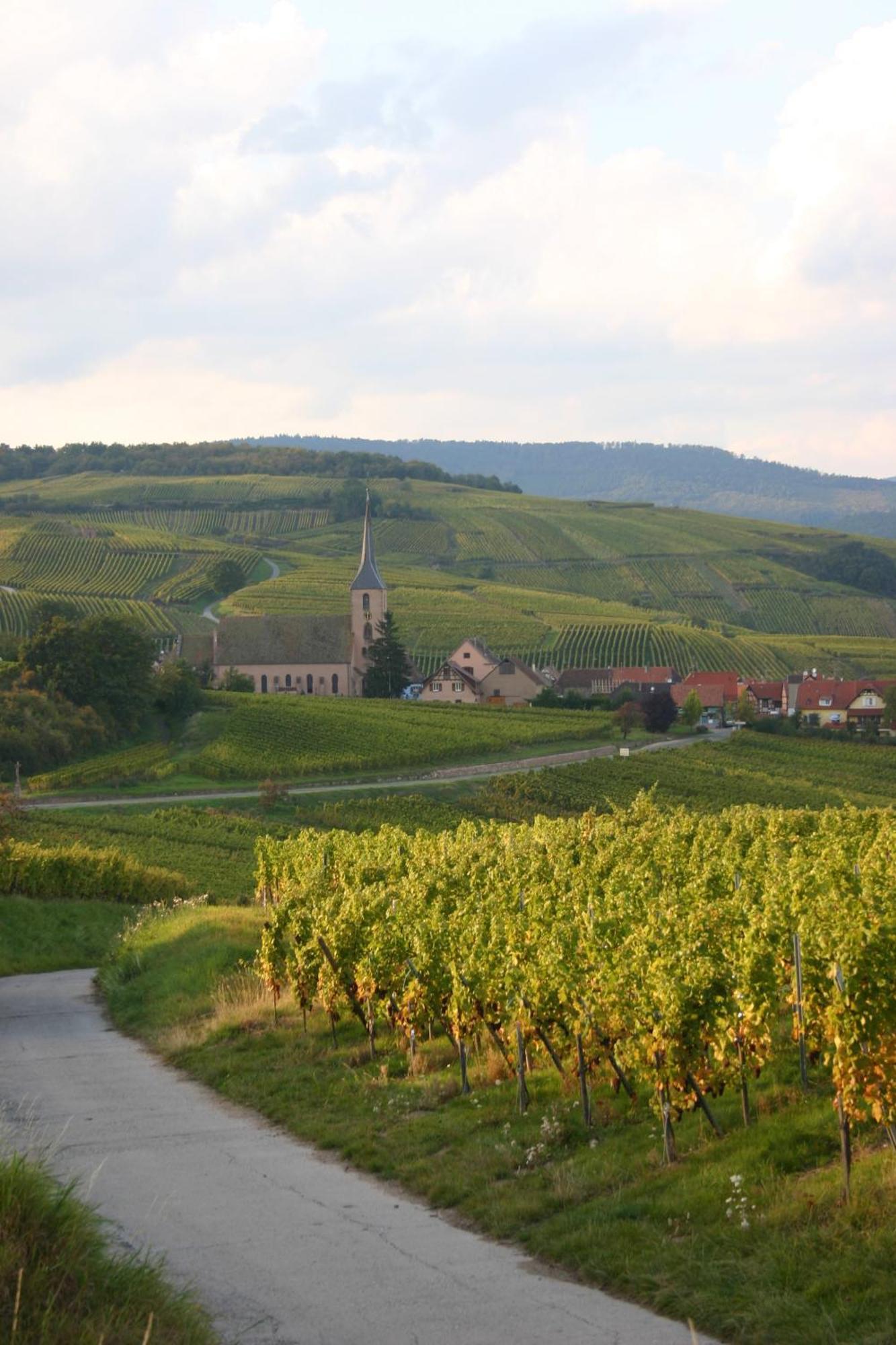 Hotel Winzenberg Blienschwiller Екстер'єр фото