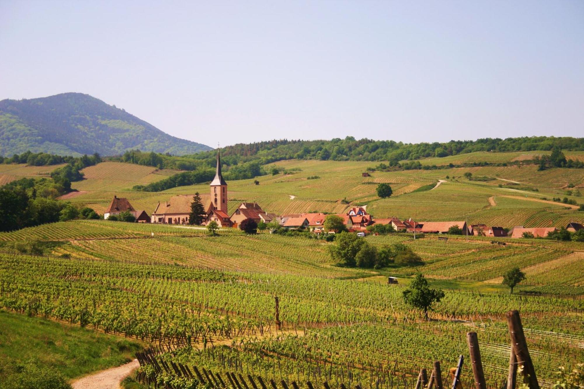 Hotel Winzenberg Blienschwiller Екстер'єр фото